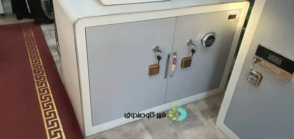 امکان خرید حضوری و اینترنتی