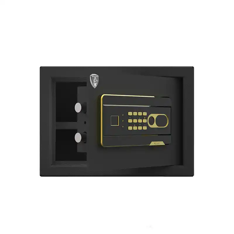 سیف باکس گنجینه H-250-1
