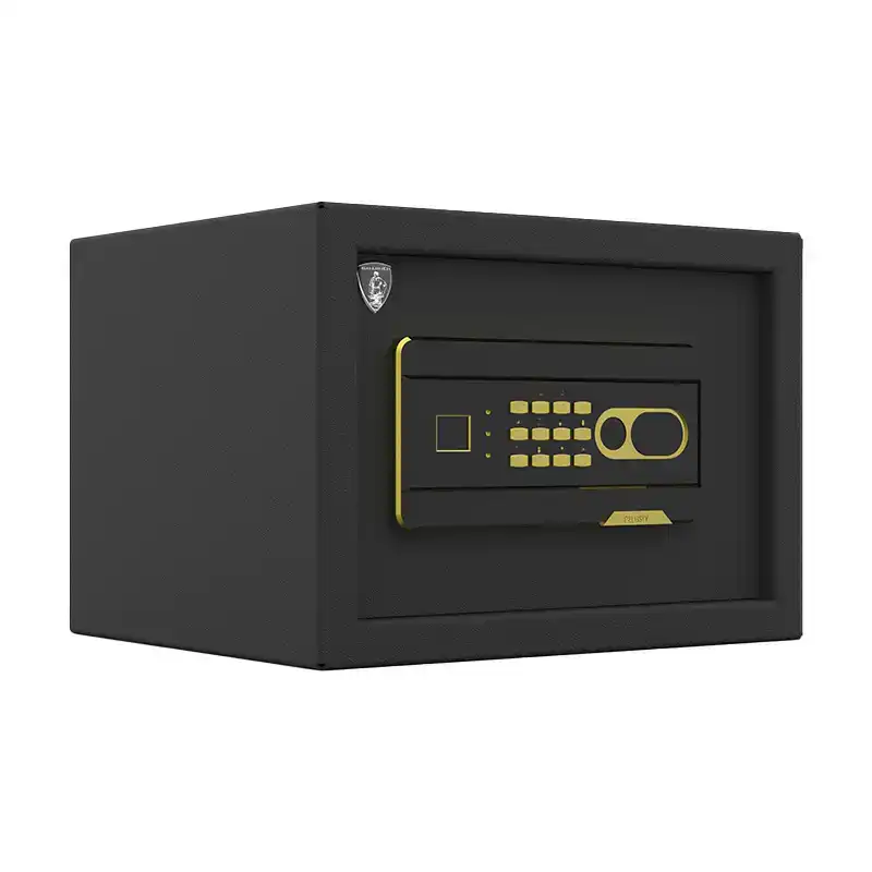 سیف باکس گنجینه H-250-3